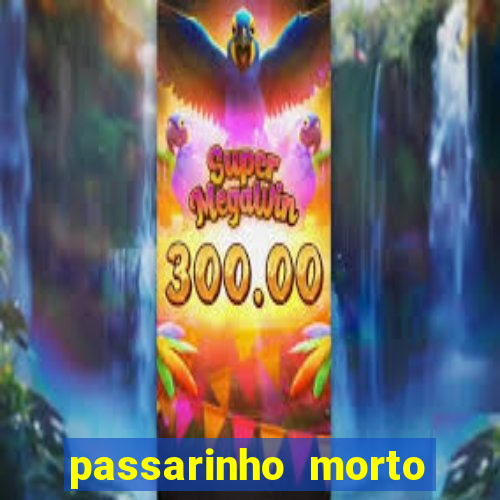 passarinho morto significado espiritual